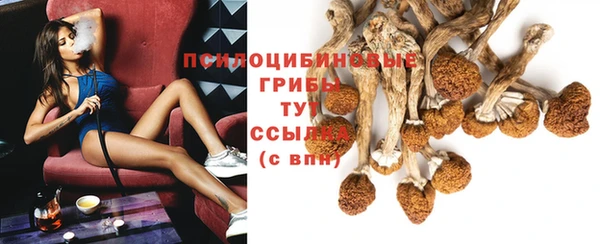 дурь Алексин