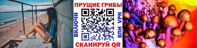 кракен как зайти  Карабаш  Псилоцибиновые грибы мухоморы 